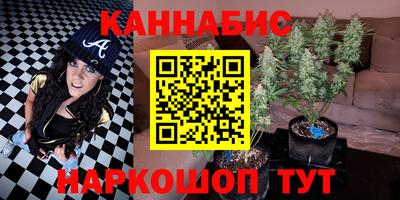 сатива Канаш