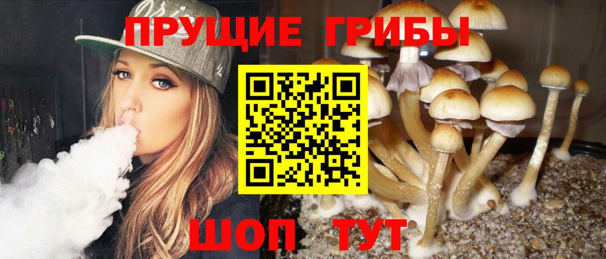 Псилоцибиновые грибы Magic Shrooms  Вход с VPN  как найти   Красноярск 